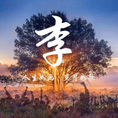 飞驰人生最新版下载